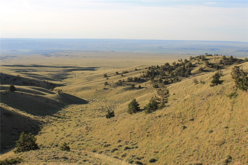 NHN Mill Draw Overlook, Belfry, MT 59008 photo 13
