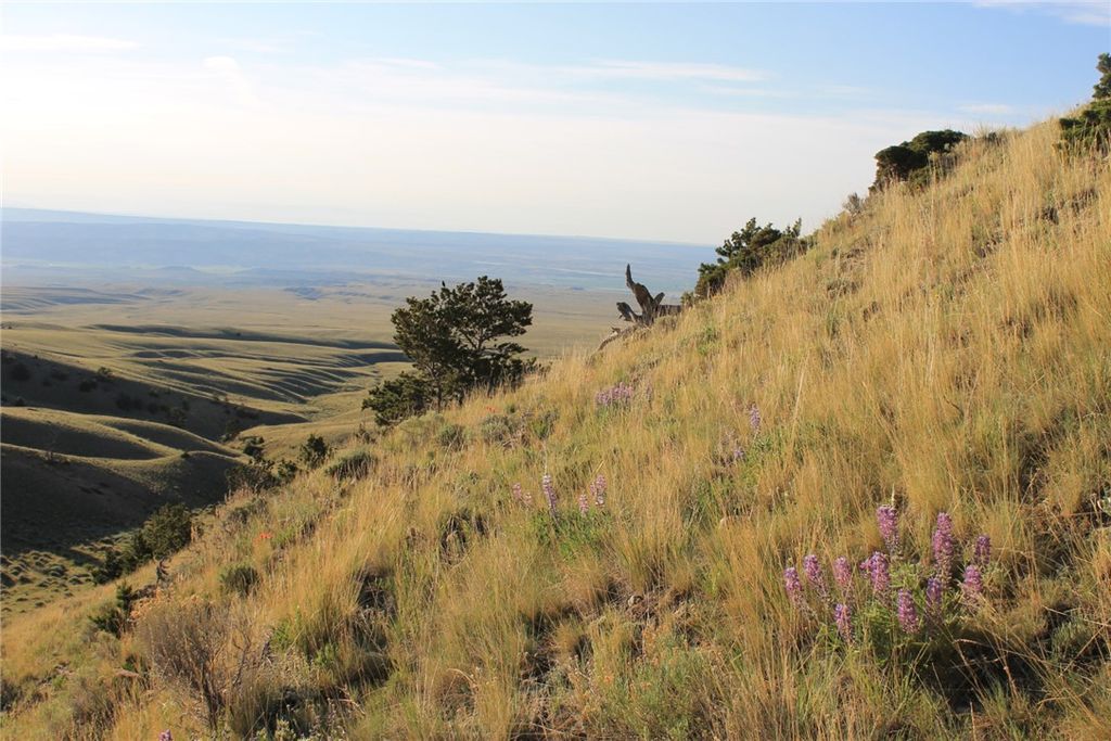 NHN Mill Draw Overlook, Belfry, MT 59008 photo 14
