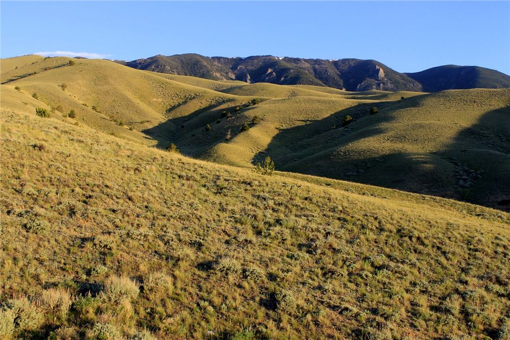 NHN Mill Draw Overlook, Belfry, MT 59008 photo 4