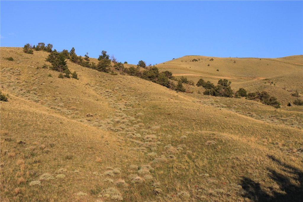 NHN Mill Draw Overlook, Belfry, MT 59008 photo 7