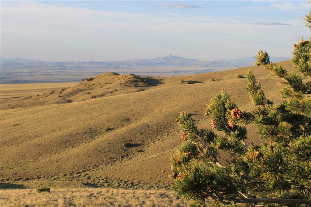 NHN Mill Draw Overlook, Belfry, MT 59008 photo 8