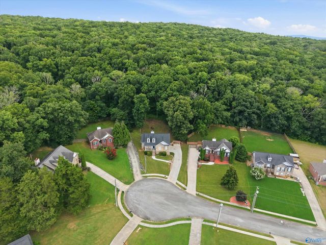 118 Burwell Cove Drive, Harvest, AL 35749