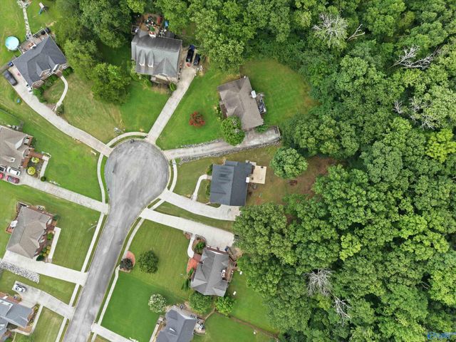 118 Burwell Cove Drive, Harvest, AL 35749