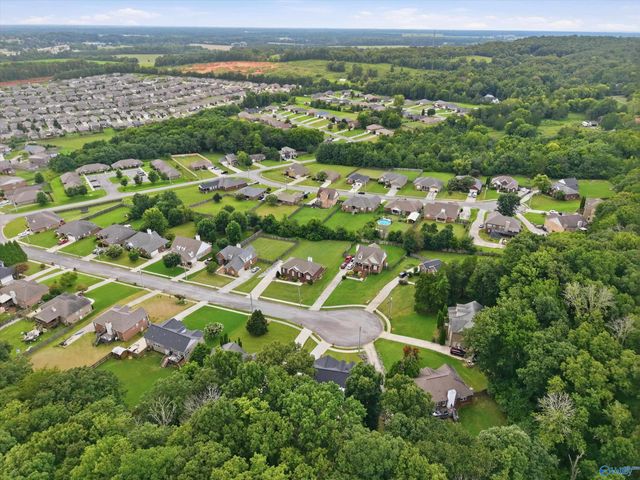 118 Burwell Cove Drive, Harvest, AL 35749