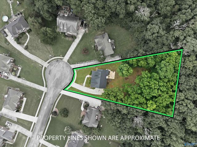 118 Burwell Cove Drive, Harvest, AL 35749