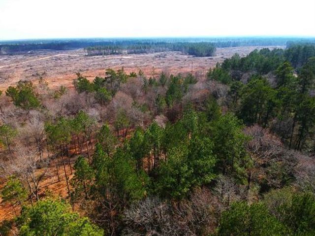 345 Pr 8512, Warren, TX 77664