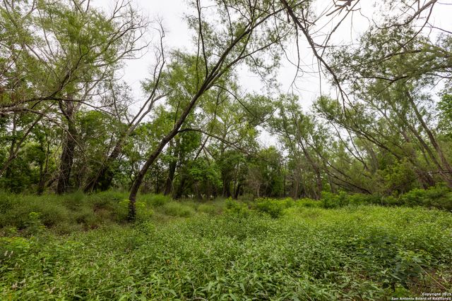 00 Shepherd Rd, Atascosa, TX 78002