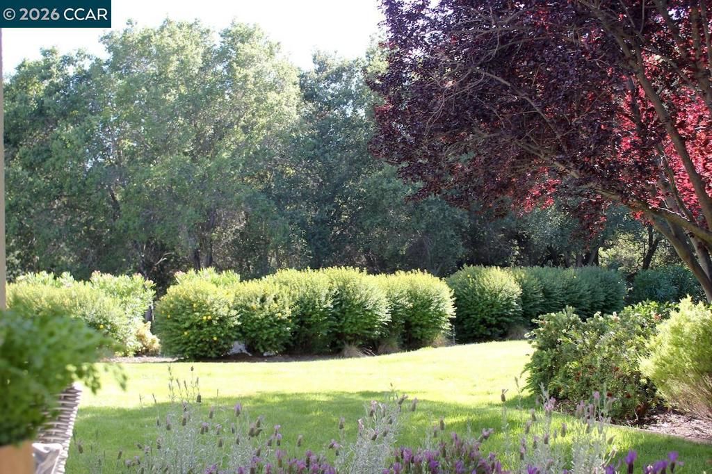 Image 26 of property listing at 2057 Golden Rain Rd 8, Walnut Creek, CA 94595