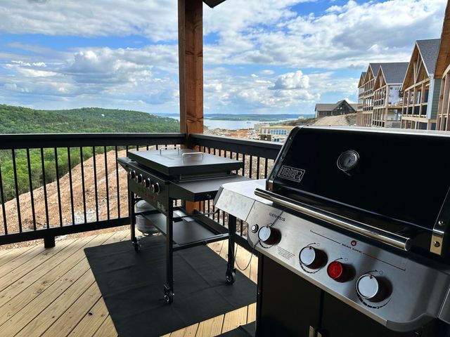 26 Shellie Lane, Branson, MO 65616