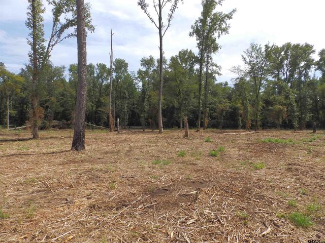 16393 W HWY 31 Lot-3, Tyler, TX 75709