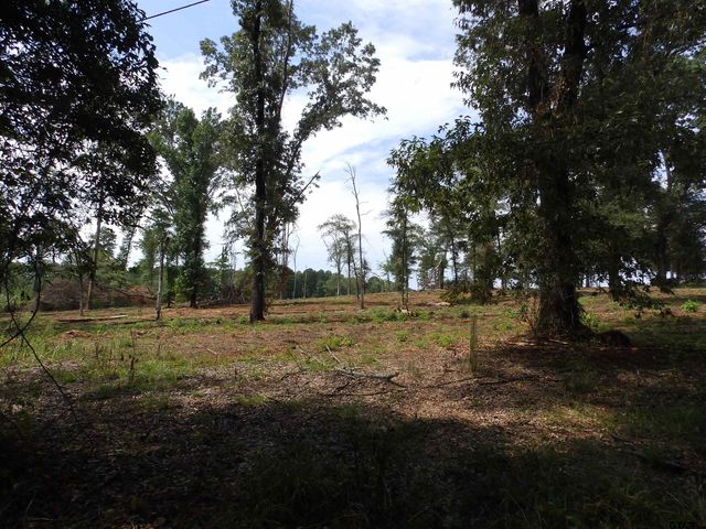 16393 W HWY 31 Lot-3, Tyler, TX 75709
