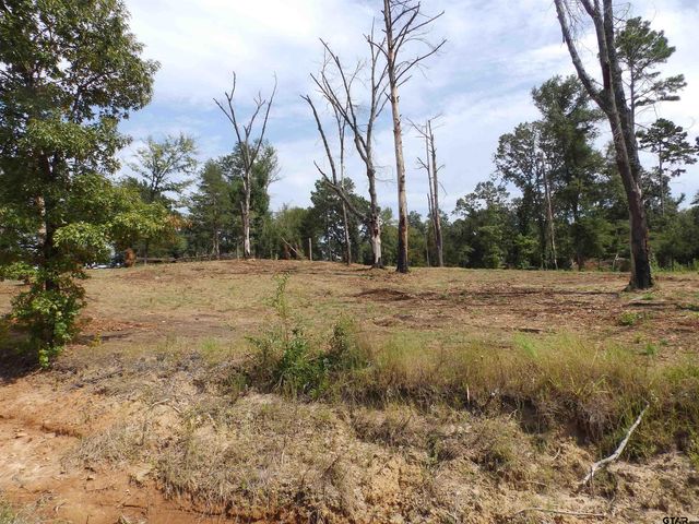 16393 W HWY 31 Lot-3, Tyler, TX 75709