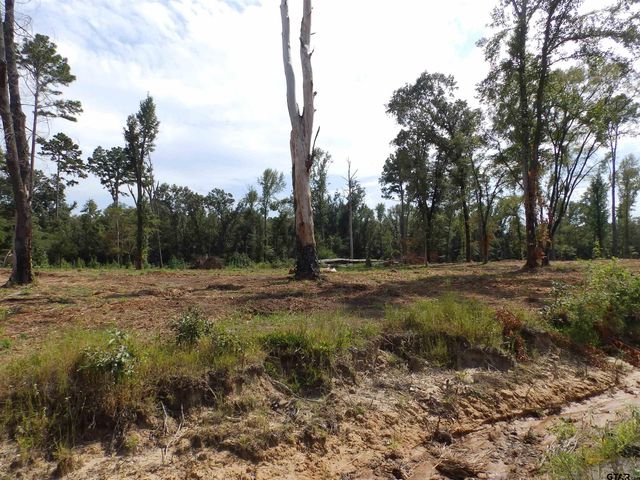 16393 W HWY 31 Lot-3, Tyler, TX 75709