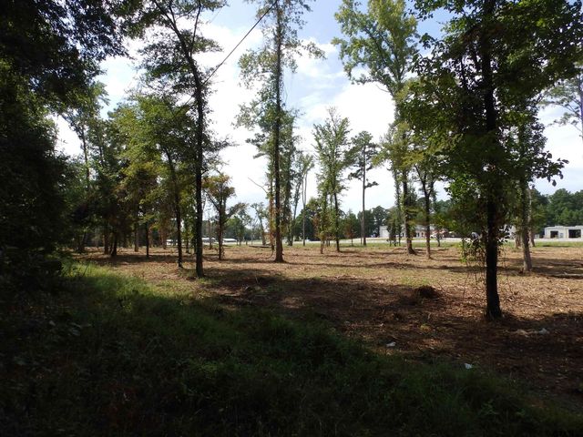 16393 W HWY 31 Lot-3, Tyler, TX 75709