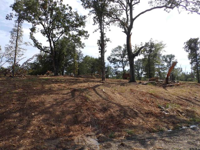 16393 W HWY 31 Lot-3, Tyler, TX 75709