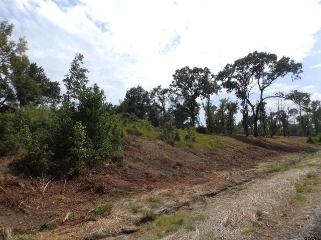 16393 W HWY 31 Lot-3, Tyler, TX 75709
