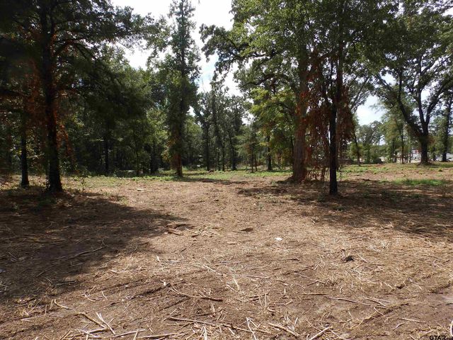 16393 W HWY 31 Lot-3, Tyler, TX 75709