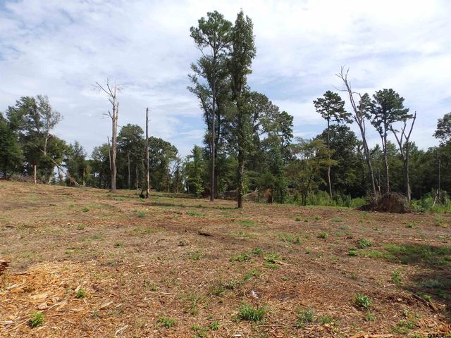 16393 W HWY 31 Lot-3, Tyler, TX 75709