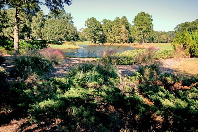 5852 Longwood Dr Unit 102, Murrells Inlet, SC 29576