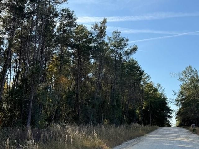 791 SE 142 AVENUE, Williston, FL 32696