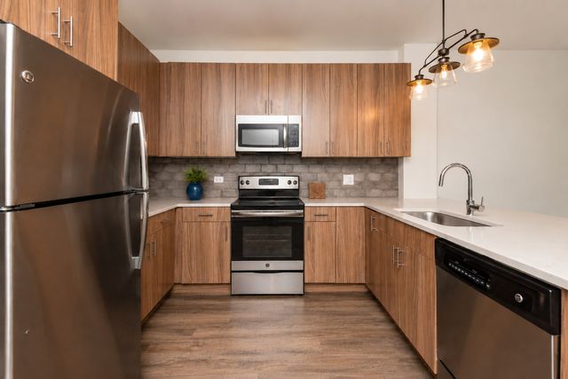 2111 S Halsted Street 205, Chicago, IL 60608