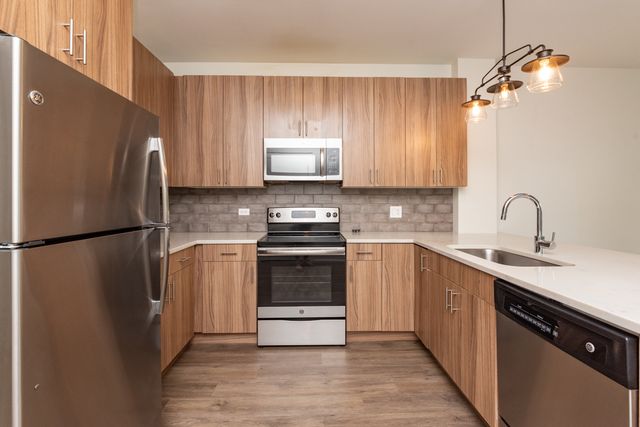 2111 S Halsted Street 205, Chicago, IL 60608