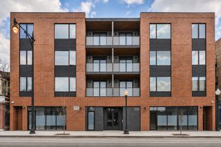 2111 S Halsted Street 205, Chicago, IL 60608