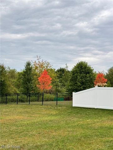 1411 Tullamore Trail, Wadsworth, OH 44281