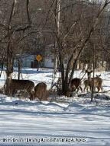 1900 Kaplan Street, Lansing, MI 48917