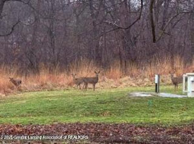 1900 Kaplan Street, Lansing, MI 48917