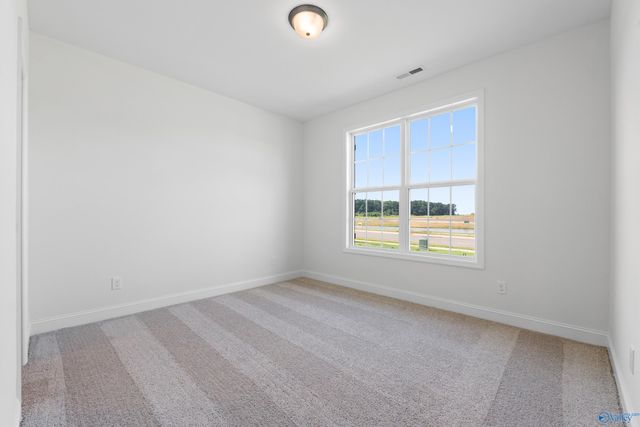 120 Cowdray Circle, Toney, AL 35773