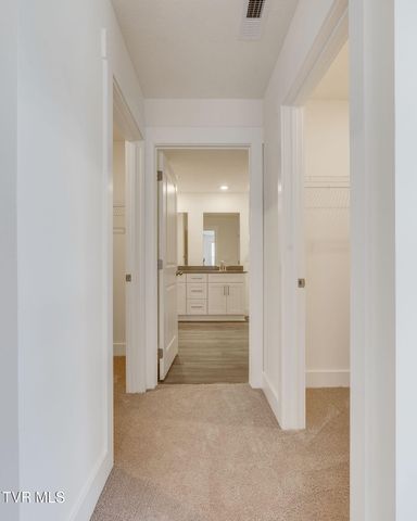 332 Cookie Loop, Johnson City, TN 37615