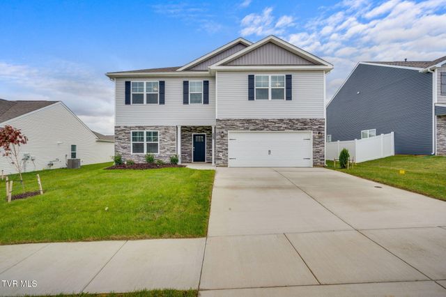332 Cookie Loop, Johnson City, TN 37615
