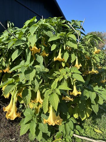 501 Chapmansboro Rd, Ashland City, TN 37015