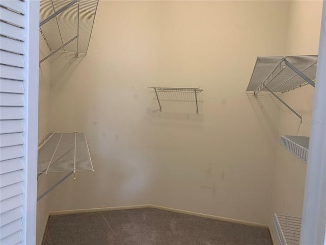 11417 GLENMONT DRIVE, Tampa, FL 33635