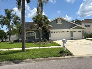11417 GLENMONT DRIVE, Tampa, FL 33635