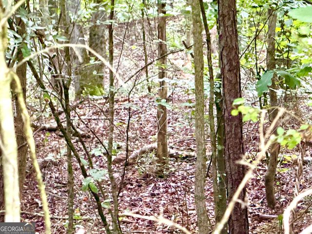 267 Branch Drive, Pendergrass, GA 30567