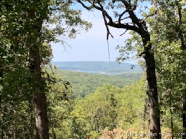 20544 S Chicken Creek Road, Cookson, OK 74427