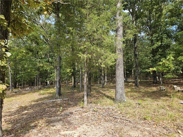 13123 Locust Mountain Road, Mountainburg, AR 72946