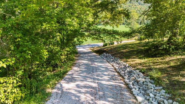 531 E Fork Road, Means, KY 40346