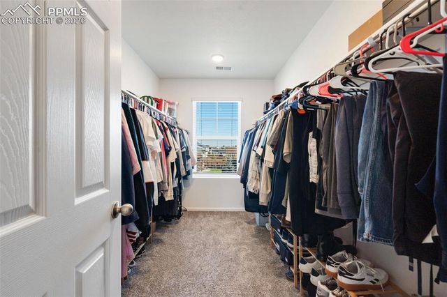 6436 Vista Cliff Loop, Castle Rock, CO 80104