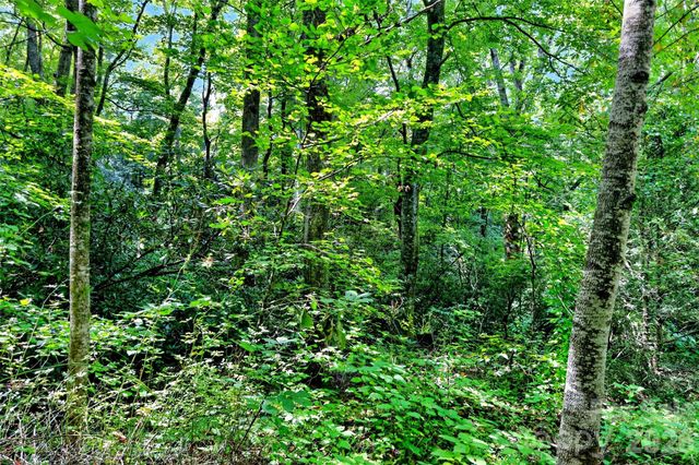 111 Walkertown Road, Black Mountain, NC 28711