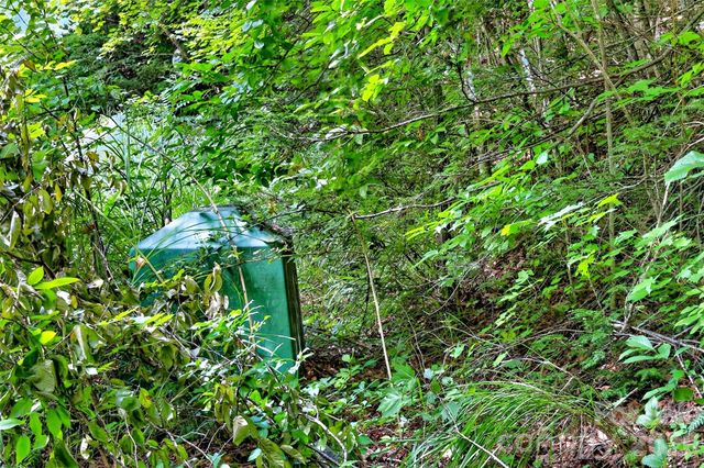111 Walkertown Road, Black Mountain, NC 28711
