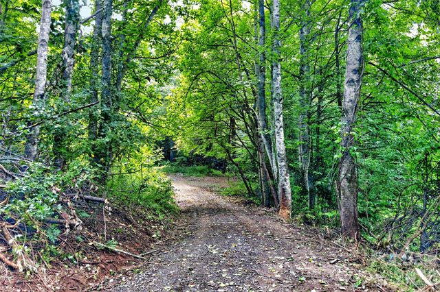 111 Walkertown Road, Black Mountain, NC 28711