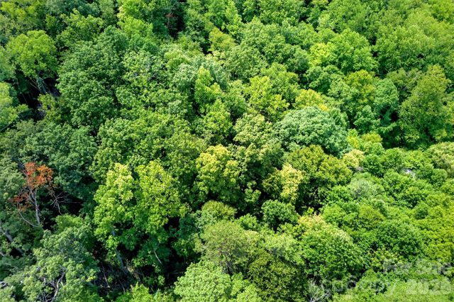 111 Walkertown Road, Black Mountain, NC 28711