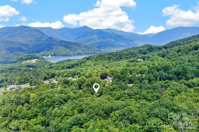 111 Walkertown Road, Black Mountain, NC 28711
