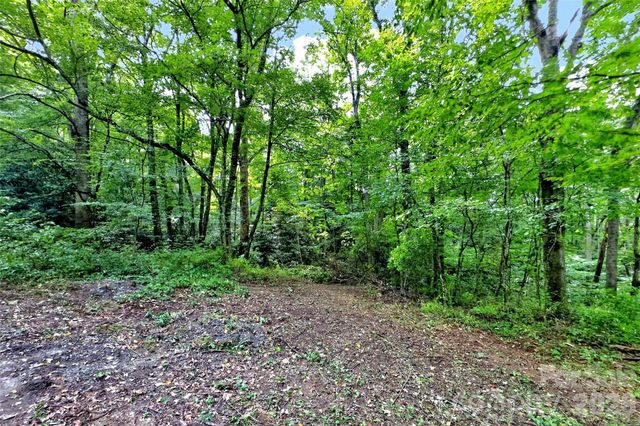 111 Walkertown Road, Black Mountain, NC 28711