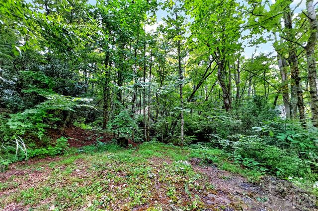 111 Walkertown Road, Black Mountain, NC 28711