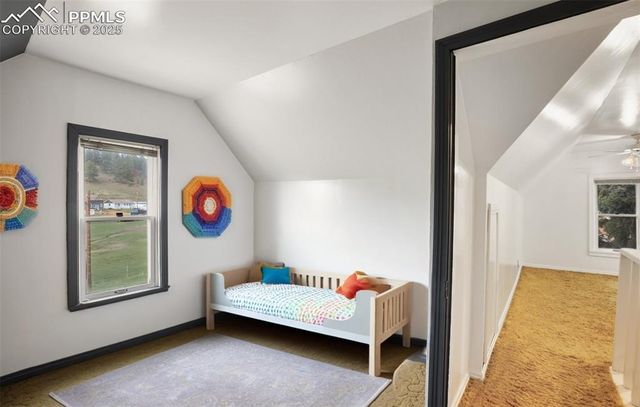 3579 County Road 42, Florissant, CO 80816