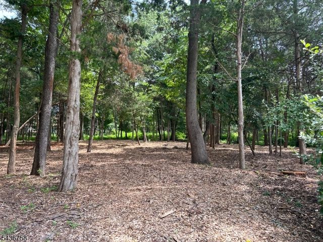 33 Ellison Road, Franklin Twp., NJ 08873